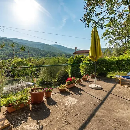 Haus Gaia Labin (Istria)